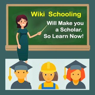 Wiki Schooling will make you a scholar. So learn now!